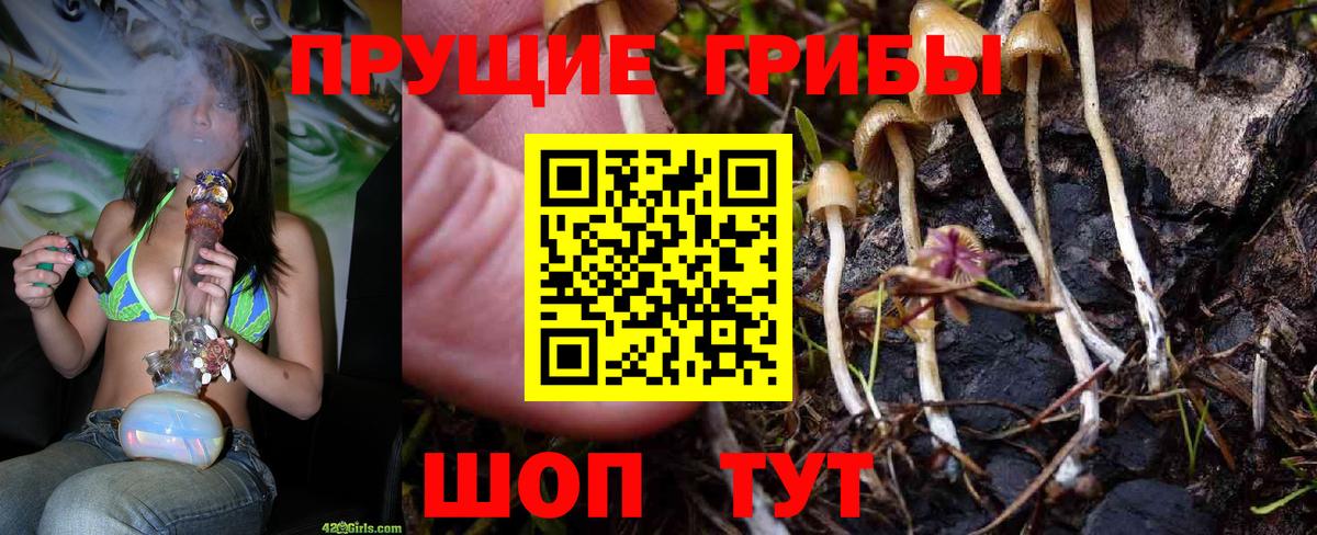 Пенза  Псилоцибиновые грибы мицелий  как найти   Вход с VPN 