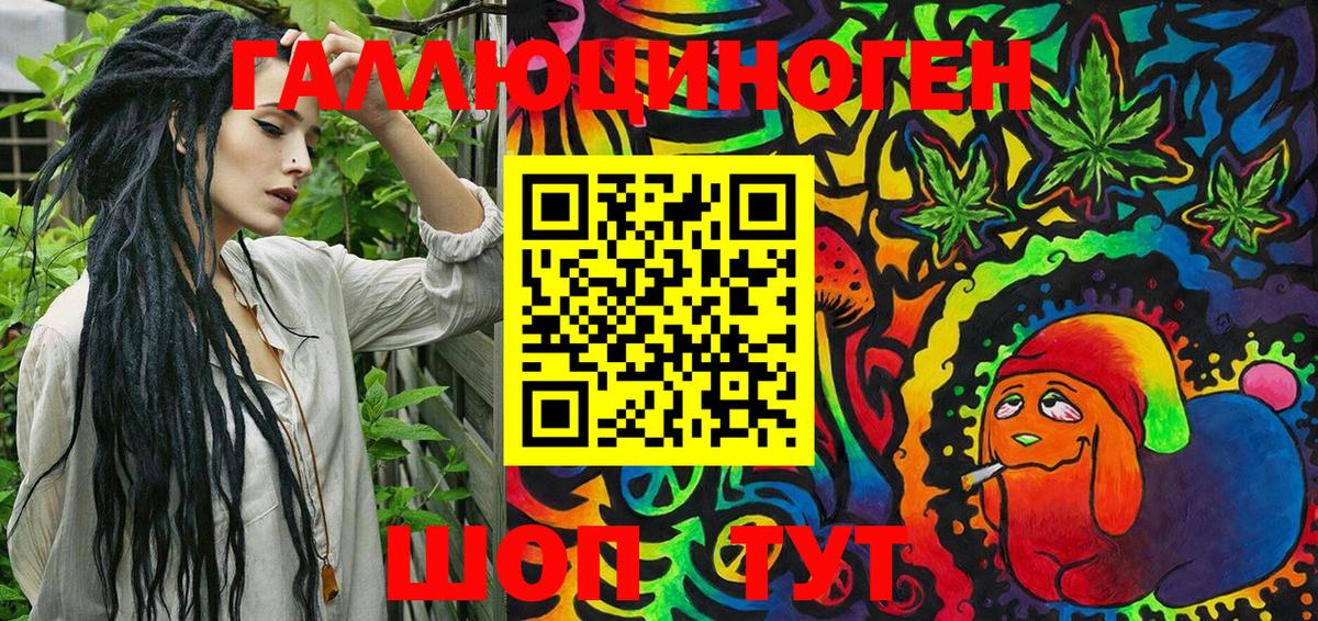 Галлюциногенные грибы Cubensis Пенза